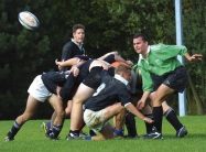 Rugby ieseg